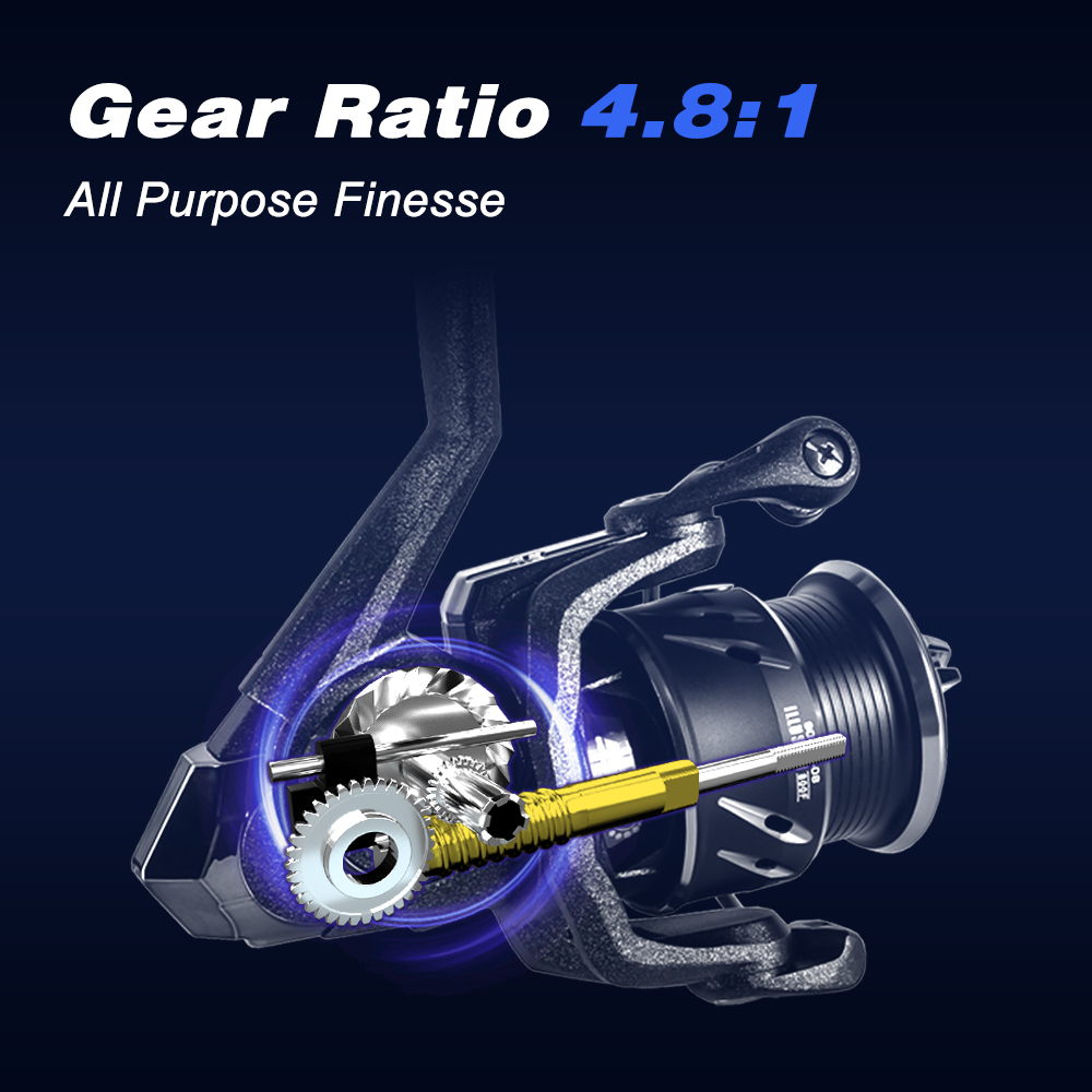 Mifine ILLUSION Fishing Reel L - Reel Drag Knob review and price